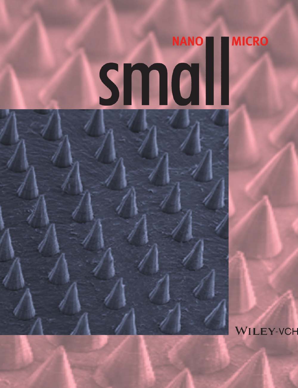 2013 Cover of Small, Volume 9, Issue 21