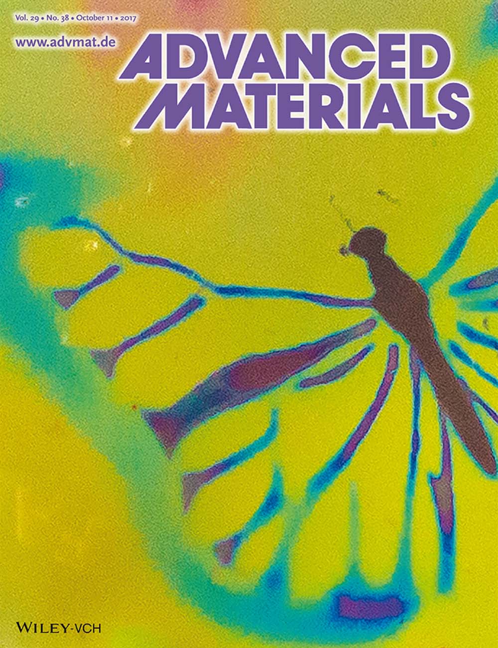 2017 Cover of Advanced Materials, Volume 29, Issue 38