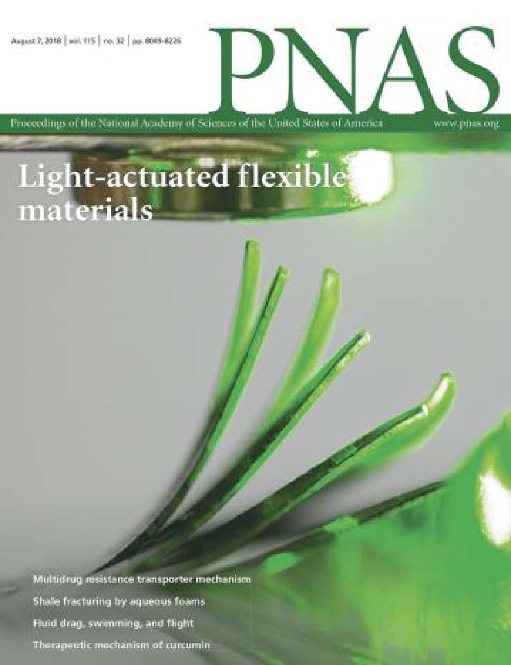 2018 Cover of PNAS, Volume 115, no. 32