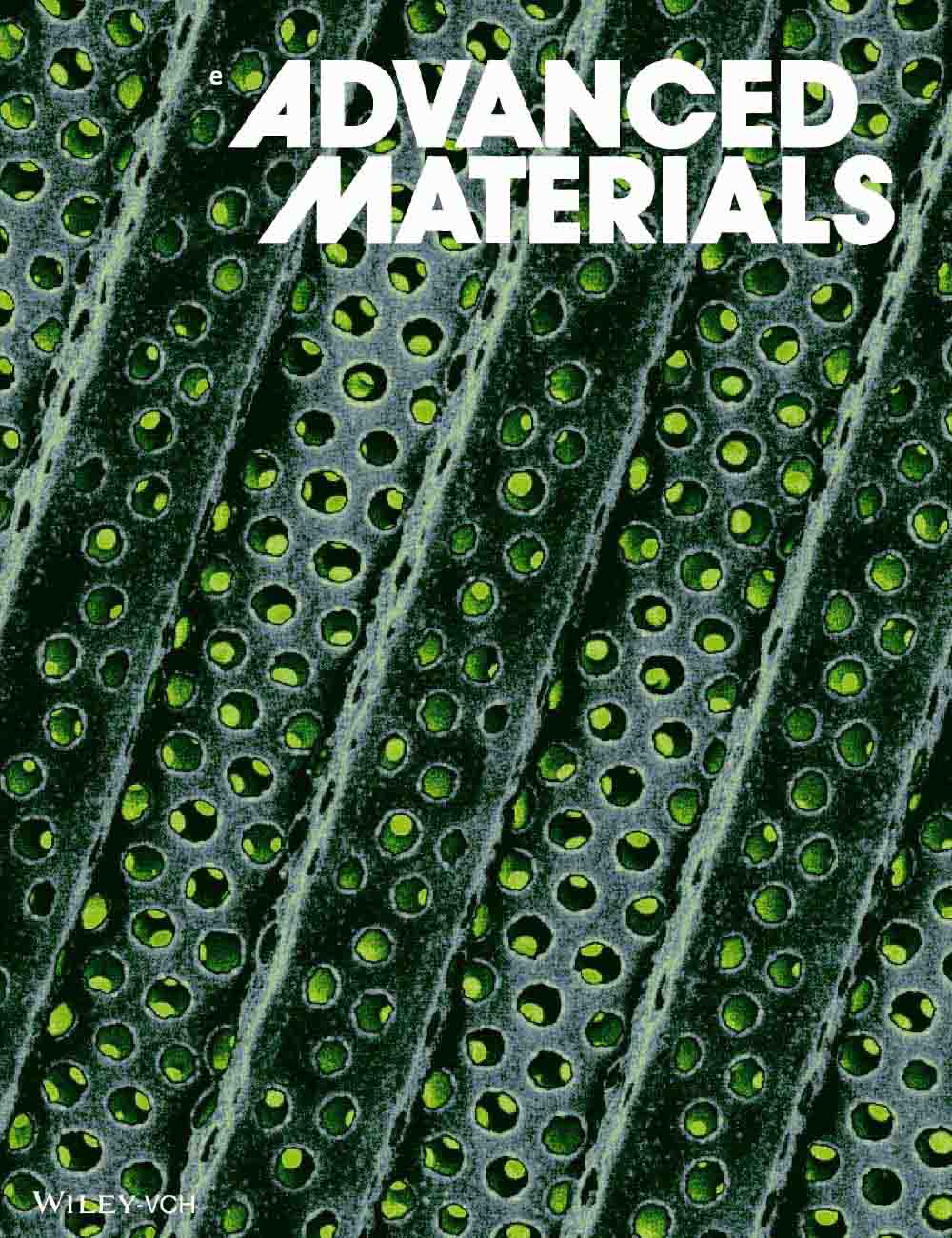 2019 Cover of Advanced Materials, Volume 31, Issue 5