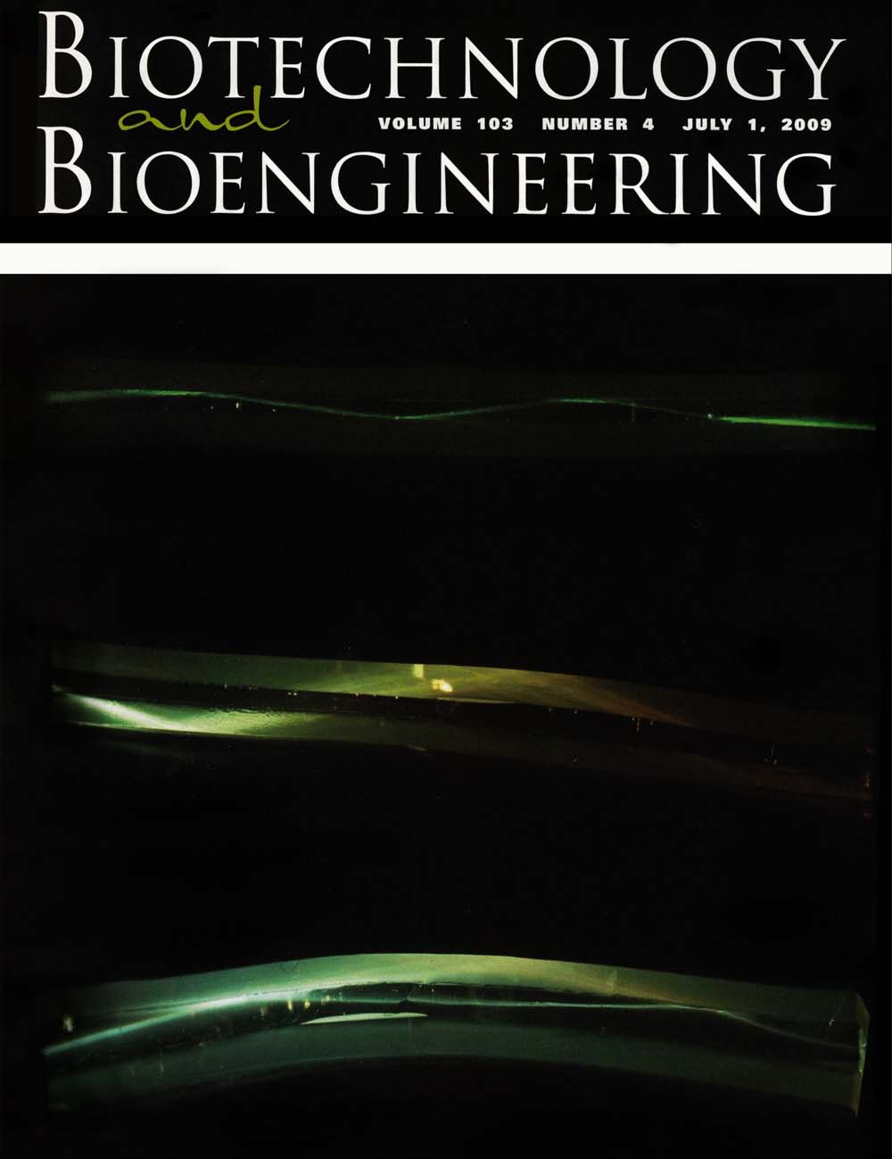 2009 Cover Biotechnology and Bioengineering, Volume 103, Issue 4