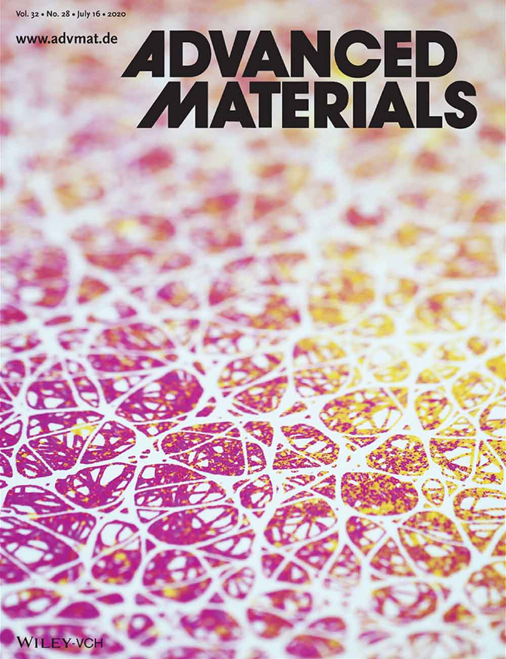 2020 Cover of Advanced Materials, Volume 32, Issue 28
