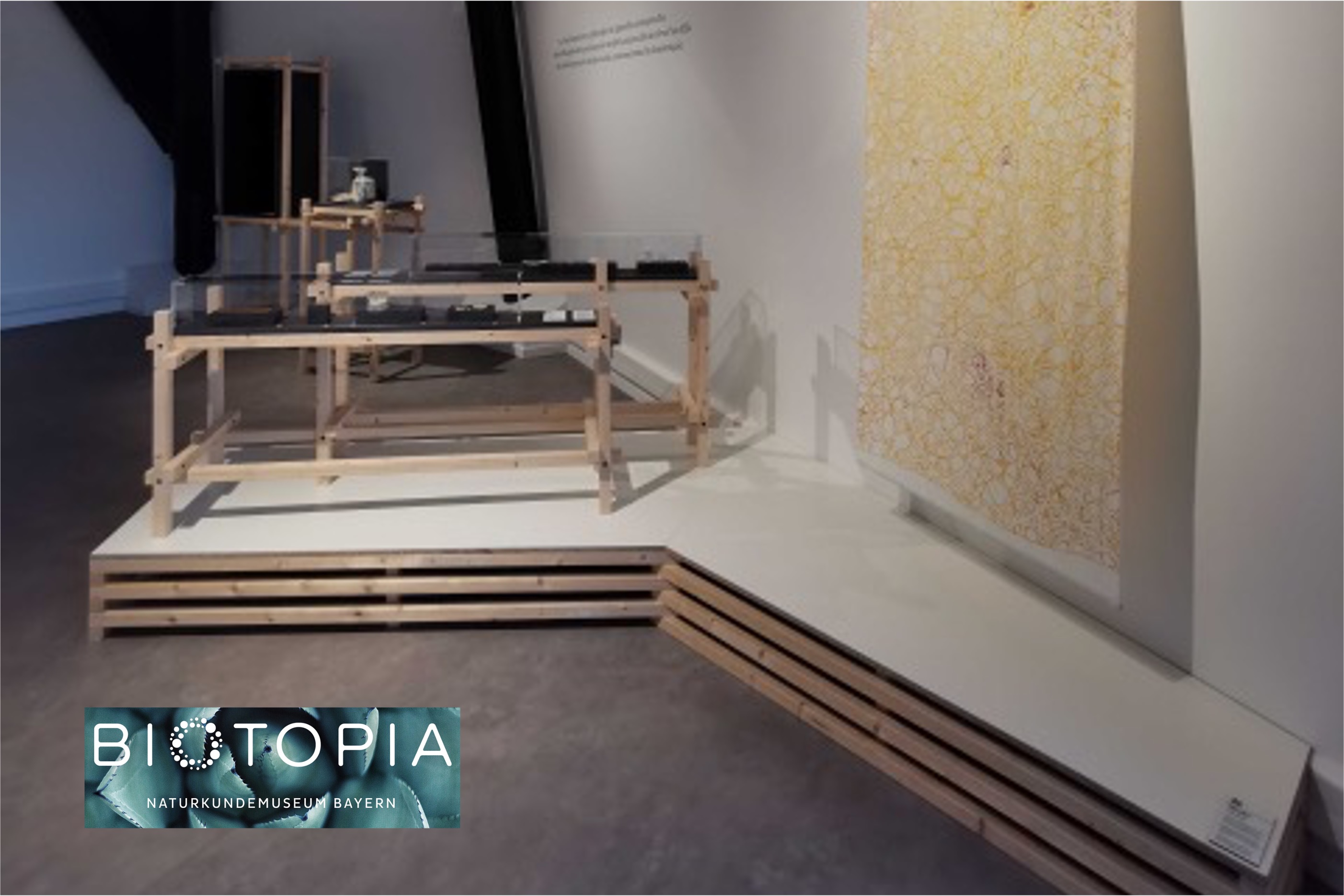 Image of Biotopia exhibition