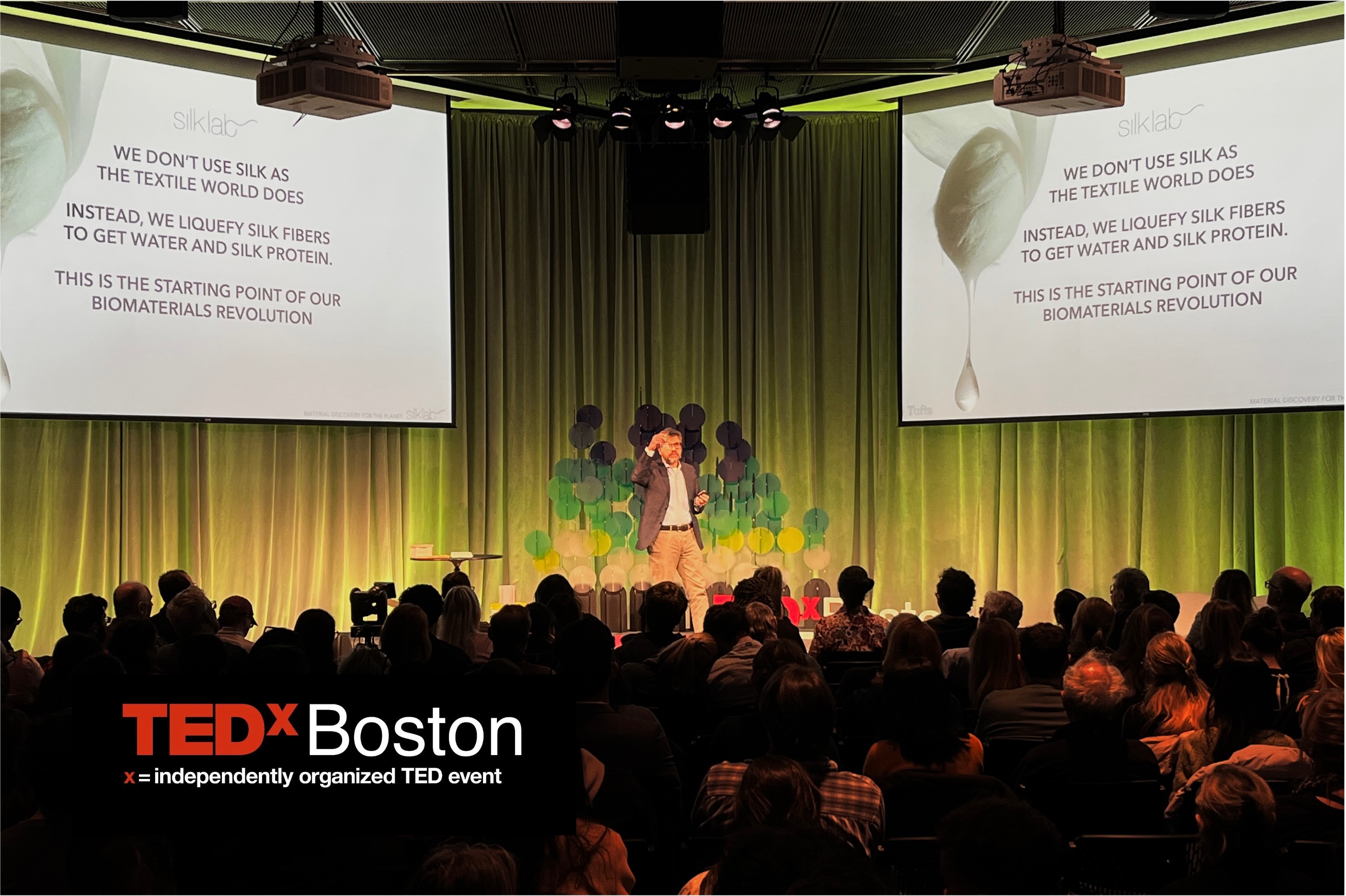 prof. Omenetto's TEDxBoston talk